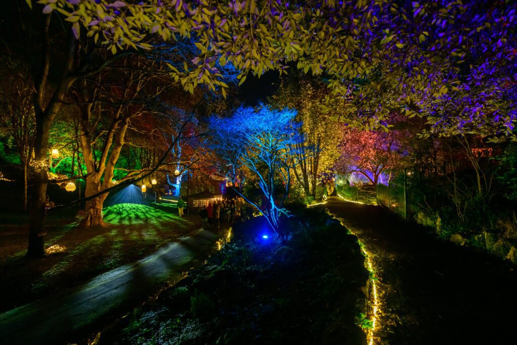 GLOW Light Festival illuminates Weston! The Grand Pier