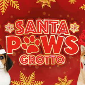 Santa Paws Grotto